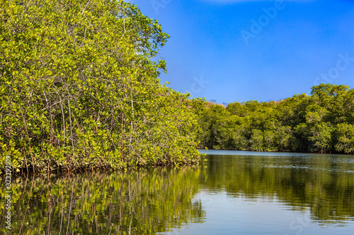 Padre Ramos natural reserve Chinandega Nicaragua photo