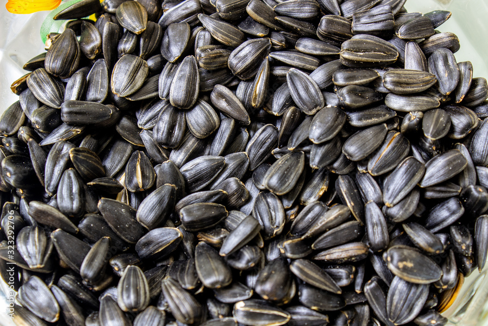 Black fried seeds in a plate close-up. Black fried seeds in a plate close-up.