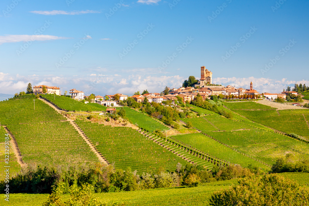 View of the village of Serralunga d`Alba and the wonderful Langa, italy