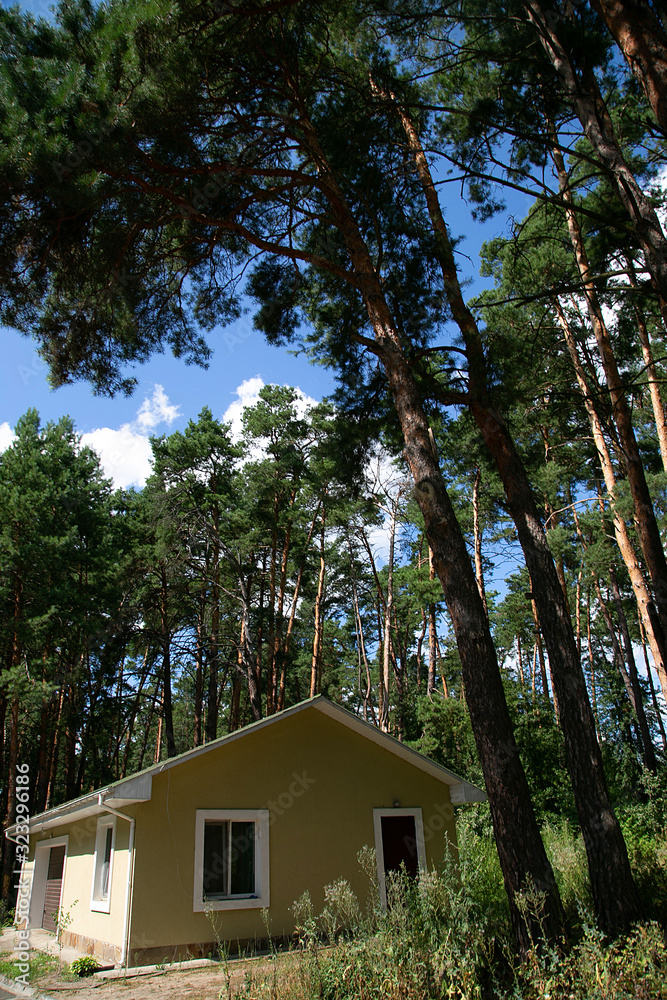 blue sky, house and trees for wallpaper or design blue sky, house and trees for wallpaper or design