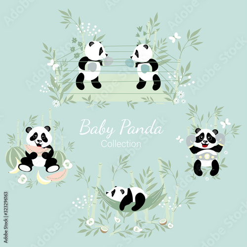 Baby panda collection. Little pandas are engaged in boxing, a little panda sleeps in a hammock, a panda eats a watermelon.