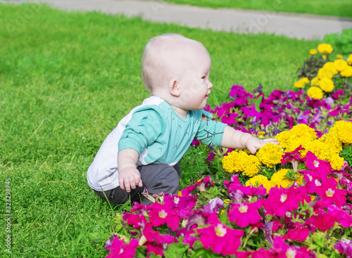 Little boy near beautiful flowers
