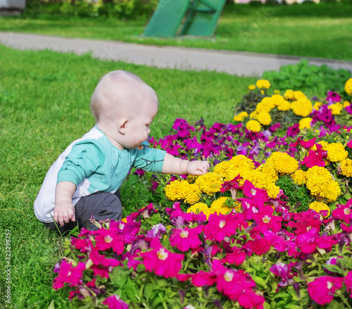 Little boy near beautiful flowers