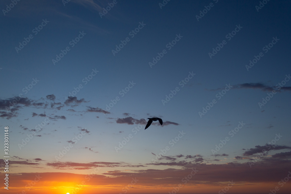 Naklejka premium La Jolla Beach Sunset
