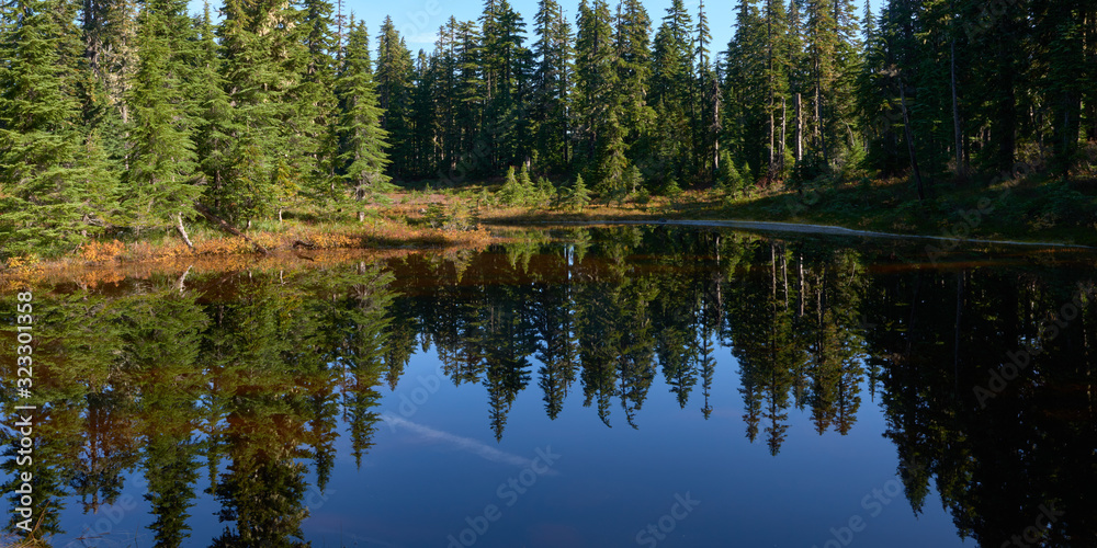 Small forest lake panoramic view in the morning. Indian Heaven wilderness in Washington state in the USA. Small forest lake panoramic view in the morning. Indian Heaven wilderness in Washington state in the USA.