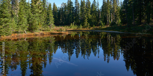 Small forest lake panoramic view in the morning. Indian Heaven wilderness in Washington state in the USA.