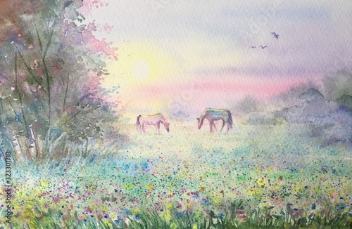 Watercolor two beautiful white and brown horses graze in the meadow. Ponies are standing in the grass. Sunset and fog. Horizontal view, copy-space. Template for designs , card, posters, calendar.
