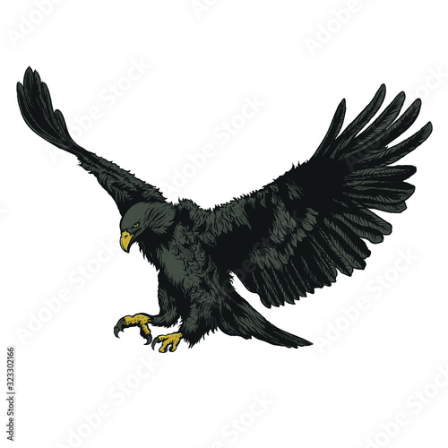 illustration of an eagle suitable for t-shirt and tattoo designs photo