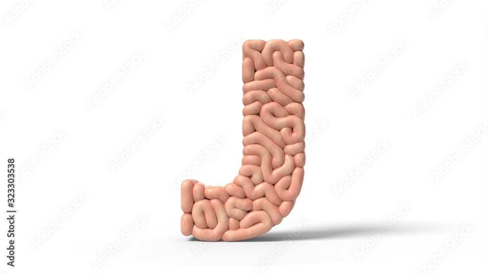 human brain in shape of letter J. 3D illustration human brain in shape of letter J. 3D illustration