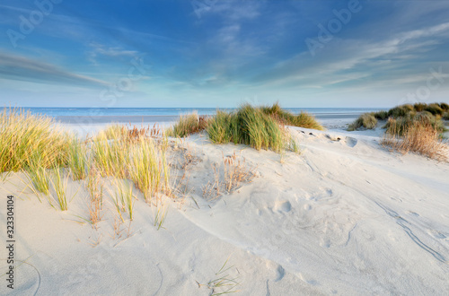 dunes, sand, beach, North sea in sunshine photo