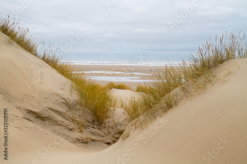 Fototapeta Naklejka Na Ścianę i Meble -  View on beach and North sea between two dunes 