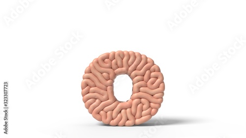 human brain in shape of letter o. 3D illustration