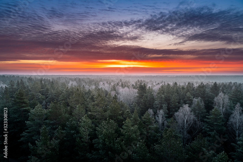 Colourful sunrise sky with frosty forest in foreground during winter morning.