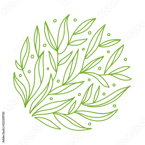 Green tea, leaves in circle. Vegan food, bio drink. Nature line symbol on white background. Raw fresh product, graphic round frame, elegant sticker. Art floral illustration. Vector organic label.