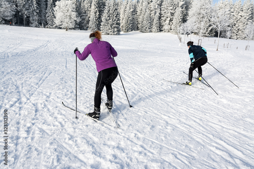view of racing skiers on cross-country skis