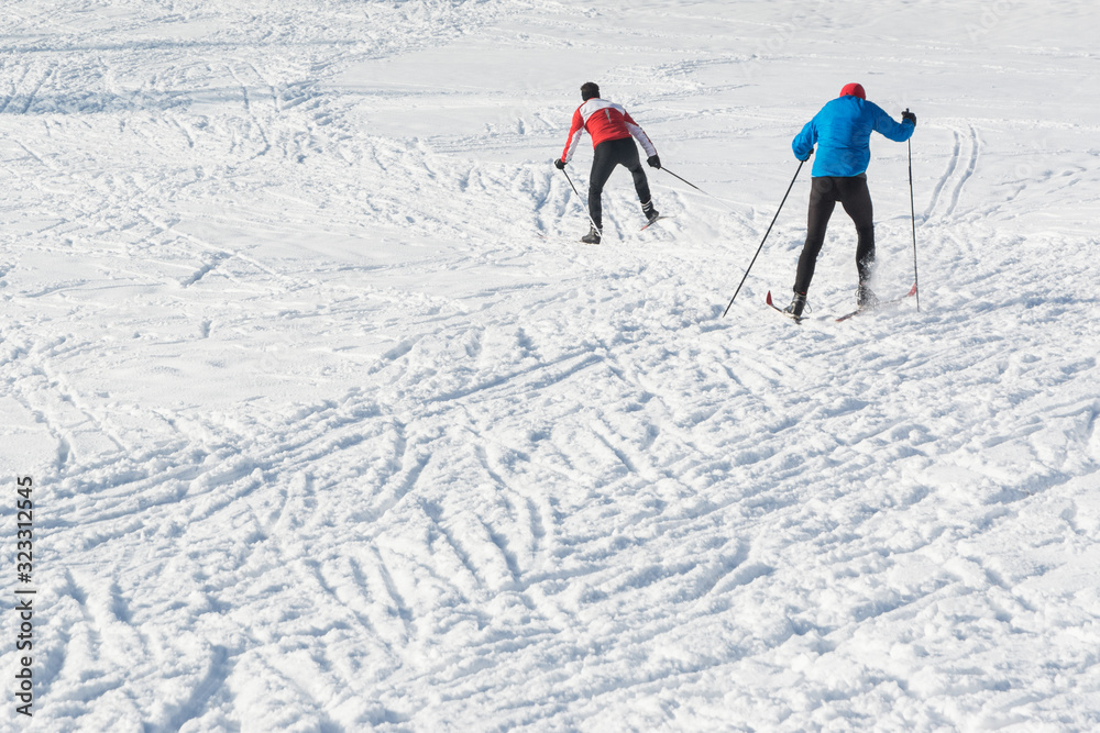 view of racing skiers on cross-country skis
