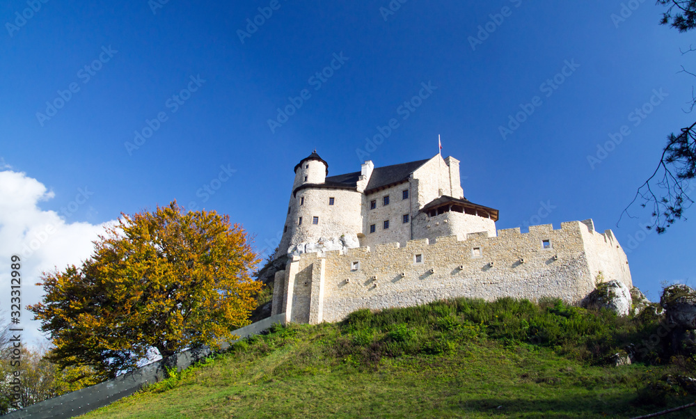 The royal Castle Bobolice, Poland