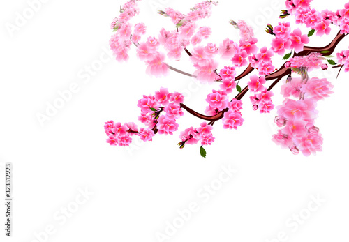 Sakura. Cherry branches with purple flowers flutter in the wind. Focused and not. illustration