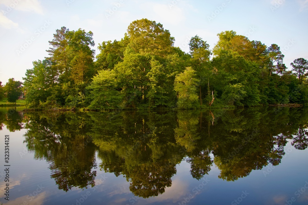 Fototapeta premium Reflection trees water sky green landscape autumn clouds park outdoors mirror spring view scene