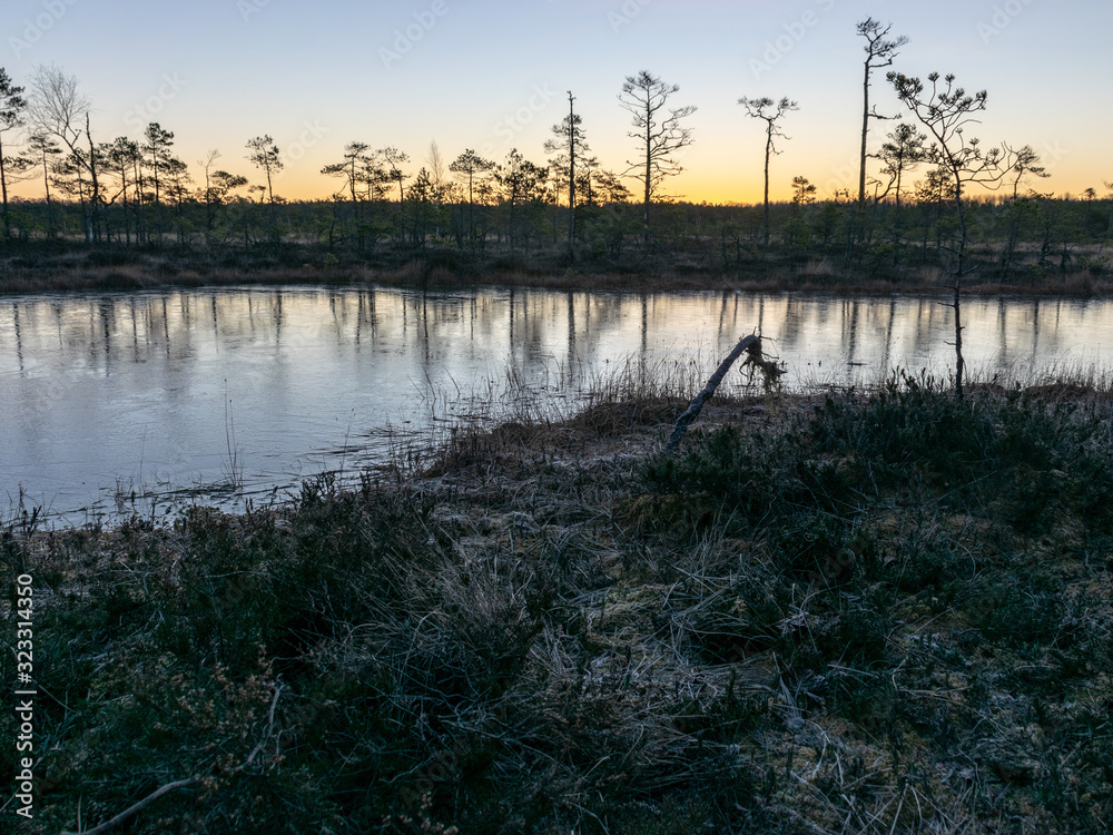 Obraz premium beautiful bog landscape at sunrise