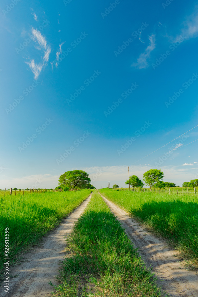 Obraz premium Caminos Rurales de Juan Jose Castelli - Chaco - Argentina