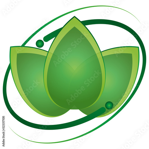 Blätter, Pflanze, Heilpraktiker und Wellness Logo