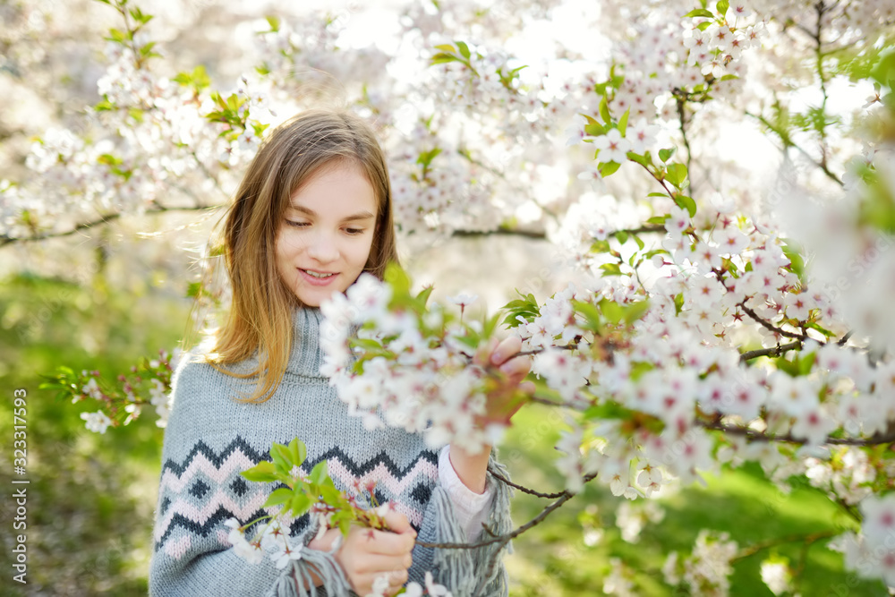 Adorable young girl in blooming cherry tree garden on beautiful spring day. Cute child picking fresh cherry tree flowers at spring. Adorable young girl in blooming cherry tree garden on beautiful spring day. Cute child picking fresh cherry tree flowers at spring.