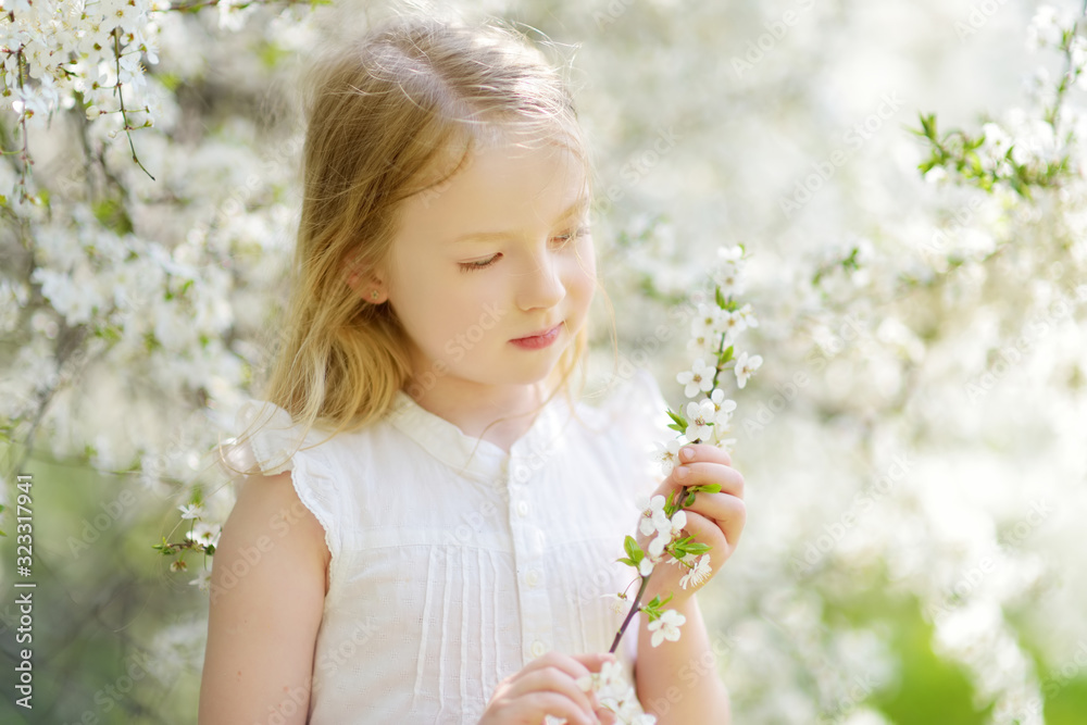 Adorable young girl in blooming cherry tree garden on beautiful spring day. Cute child picking fresh cherry tree flowers at spring. Adorable young girl in blooming cherry tree garden on beautiful spring day. Cute child picking fresh cherry tree flowers at spring.