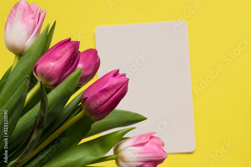 Fototapeta Naklejka Na Ścianę i Meble -  Beautiful spring tulips on yellow background. Concept of Valentines day, Women's Day March eight, Mothers day. Card space for text, flat lay.
