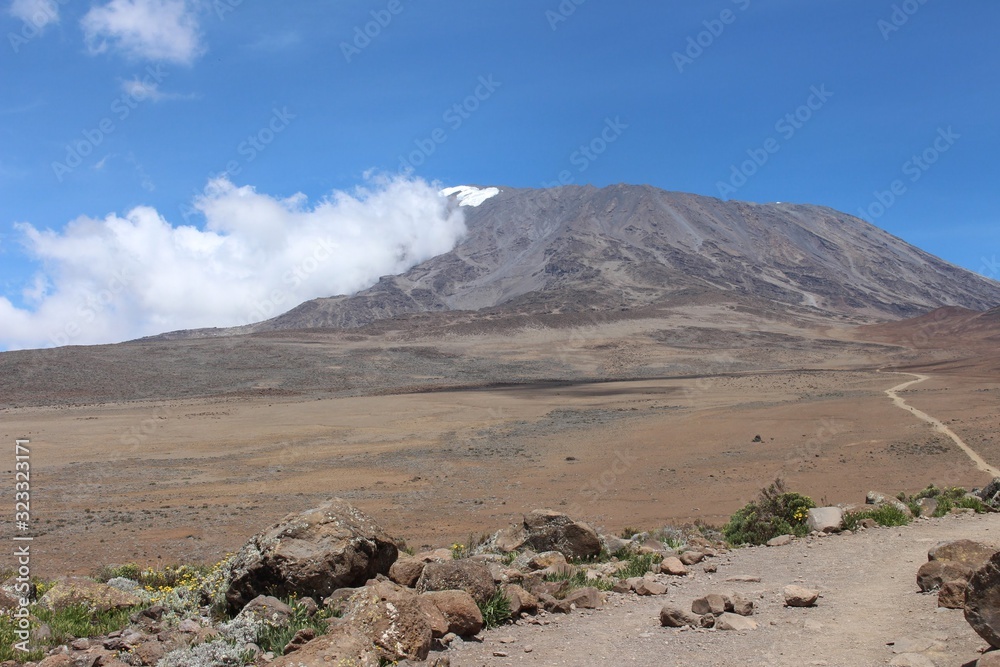 Mt Kilimanjaro trail to Kibo crater Mt Kilimanjaro trail to Kibo crater
