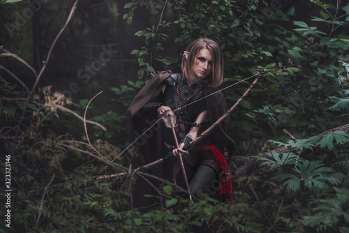 Slika na platnu elf archer in the forest
