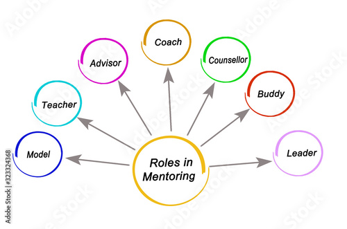 Seven Roles in Mentoring