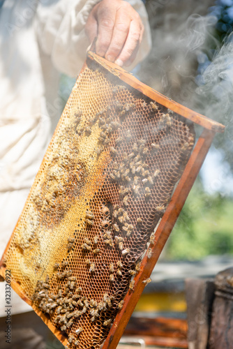 The beekeeper checks the hive. Looks at bees in the sun.