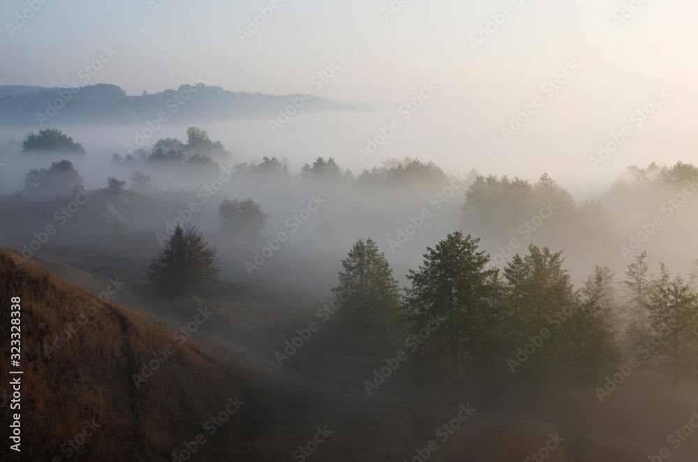 Early morning in nature, fog among hills and trees.
