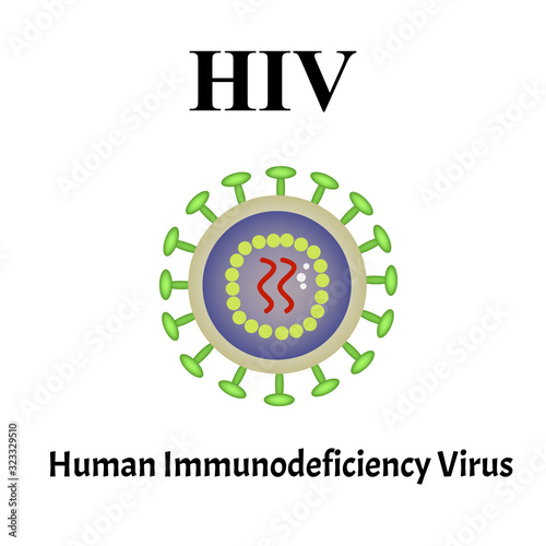 HIV virus structure. Viral infection HIV, AIDS. Sexually transmitted diseases. Infographics. Vector illustration on isolated background.