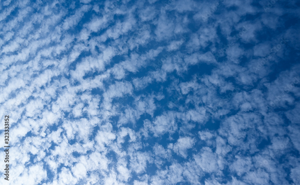 Blue sky with lamb clouds Blue sky with lamb clouds