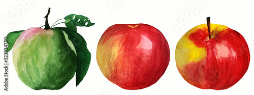 Watercolor illustration of two red apples and green apple with leaves isolated on white background. Each one is separately. Perfect for making printed products, prints, scrapbooking or background. photo