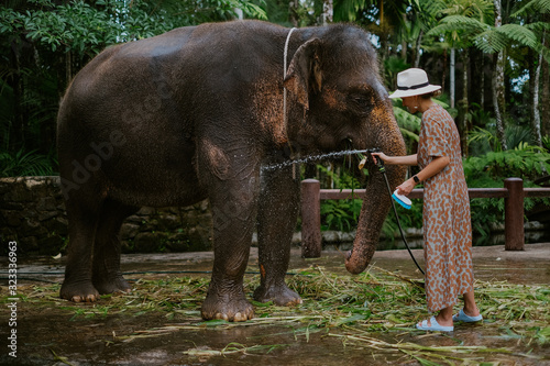 Photography Girl washing an elephant on Bali