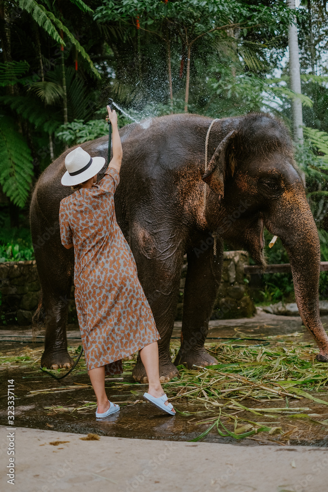 Fototapeta premium Girl washing an elephant on Bali