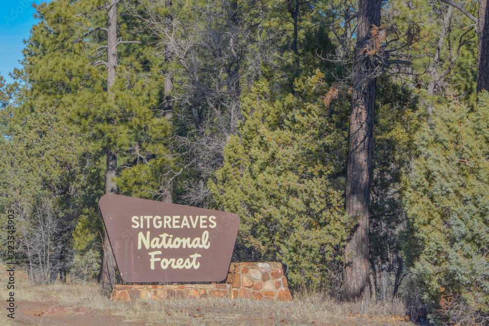 Sitgreaves National Forest Sign in the mountains of Arizona USA