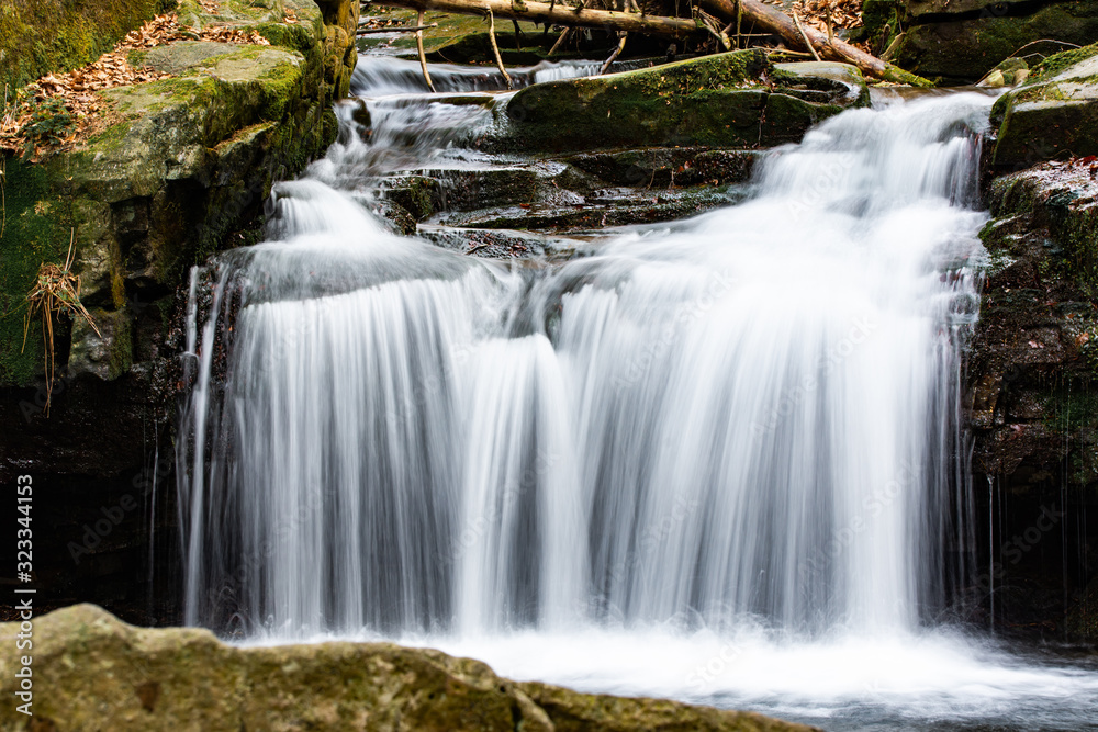 Obraz premium Tropical fruit