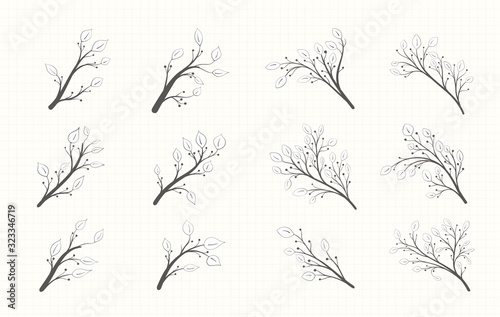 A set of branches with leaves of different shapes and berries in a gray tone in vintage style isolated on a notebook sheet