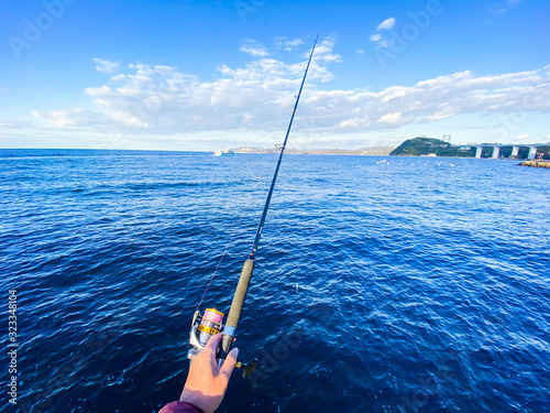 Japanese sea and fishing rod.