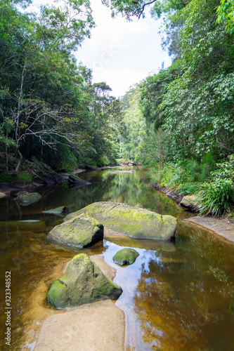 Photography river in the forest