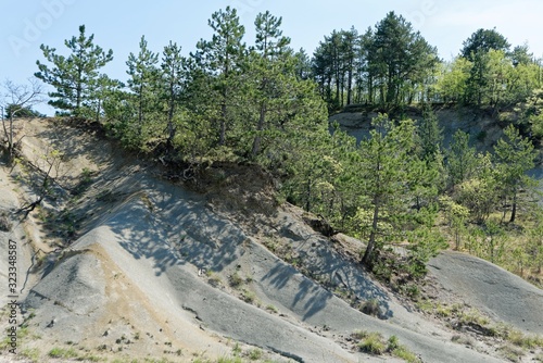 Kroatien - Istrien - Kras - Schiefersplitvorkommen photo