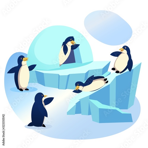 Waterfowl Aquatic Flightless Birds Wildlife in Animal Park  Zoo  Group of Funny Penguins Playing on Ice Floe with Icehouse  Skating from Snowy Slide  Lifestyle  Nature Cartoon Flat Vector Illustration