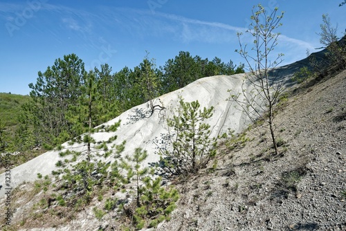 Kroatien - Istrien - Kras - Schiefersplitvorkommen photo