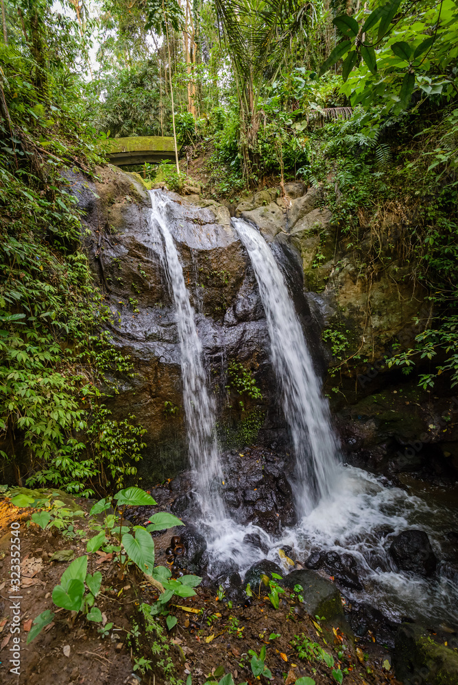 Inside a temple in Bali, Indonesia. Green forest and lakes with flora Inside a temple in Bali, Indonesia. Green forest and lakes with flora