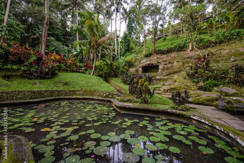 Inside a temple in Bali, Indonesia. Green forest and lakes with flora 