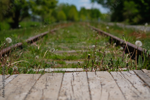 Wooden crosswalk across railroad. A focus on the foreground. Dandelions grows along the crosswalk. Smooth background with green trees.